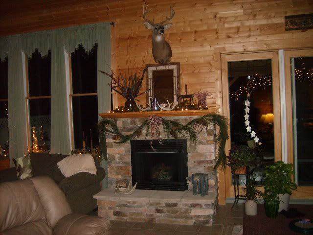 Fireplace.jpg