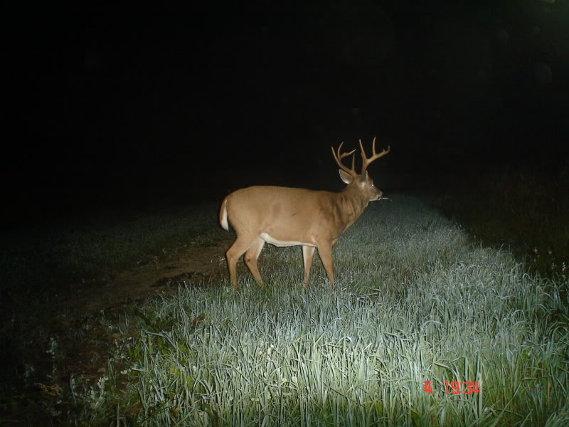 Buck3-22.jpg