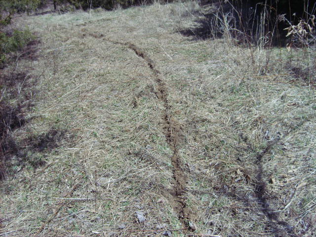 Dryground.jpg