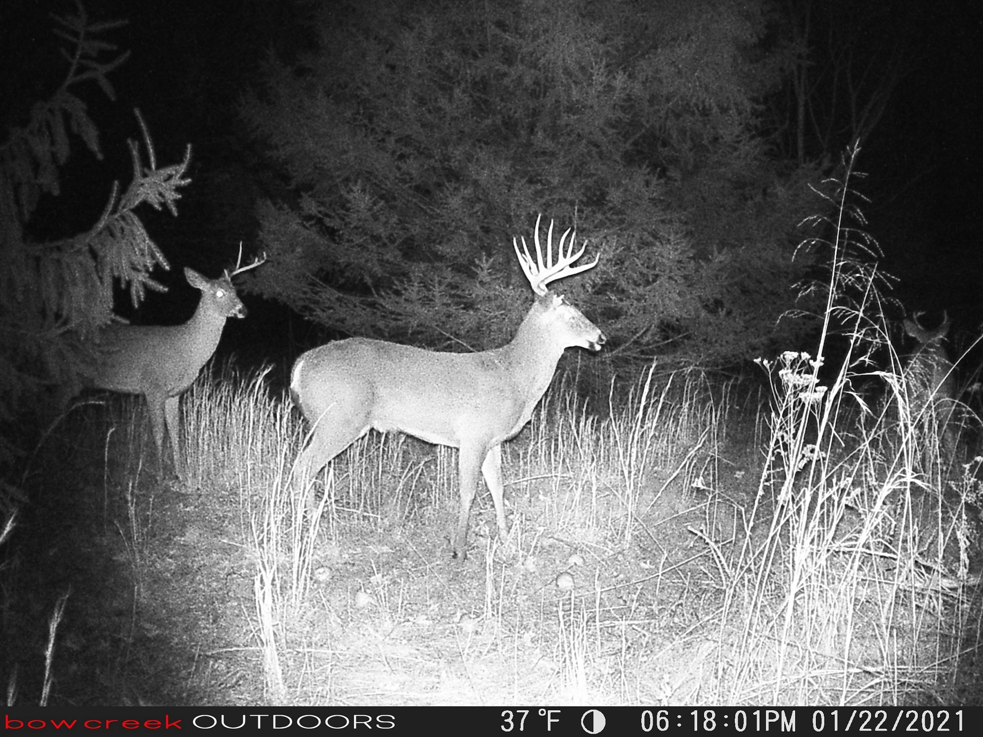 1-22-21 10 point.JPG