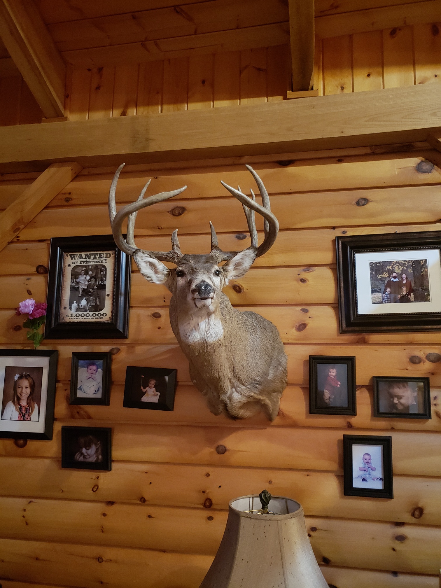 20181008_201714_resized(1).jpg