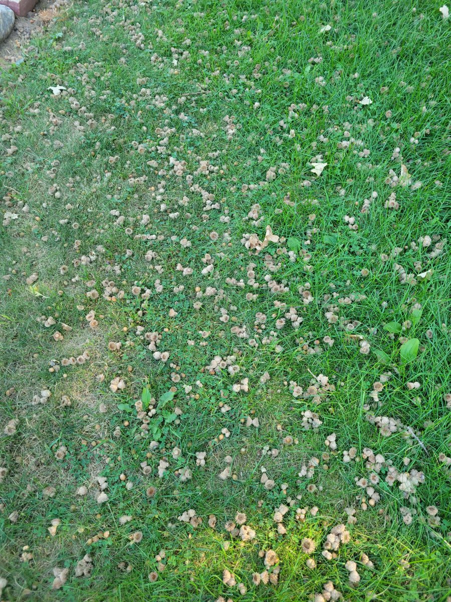 20220902_174836.jpg
