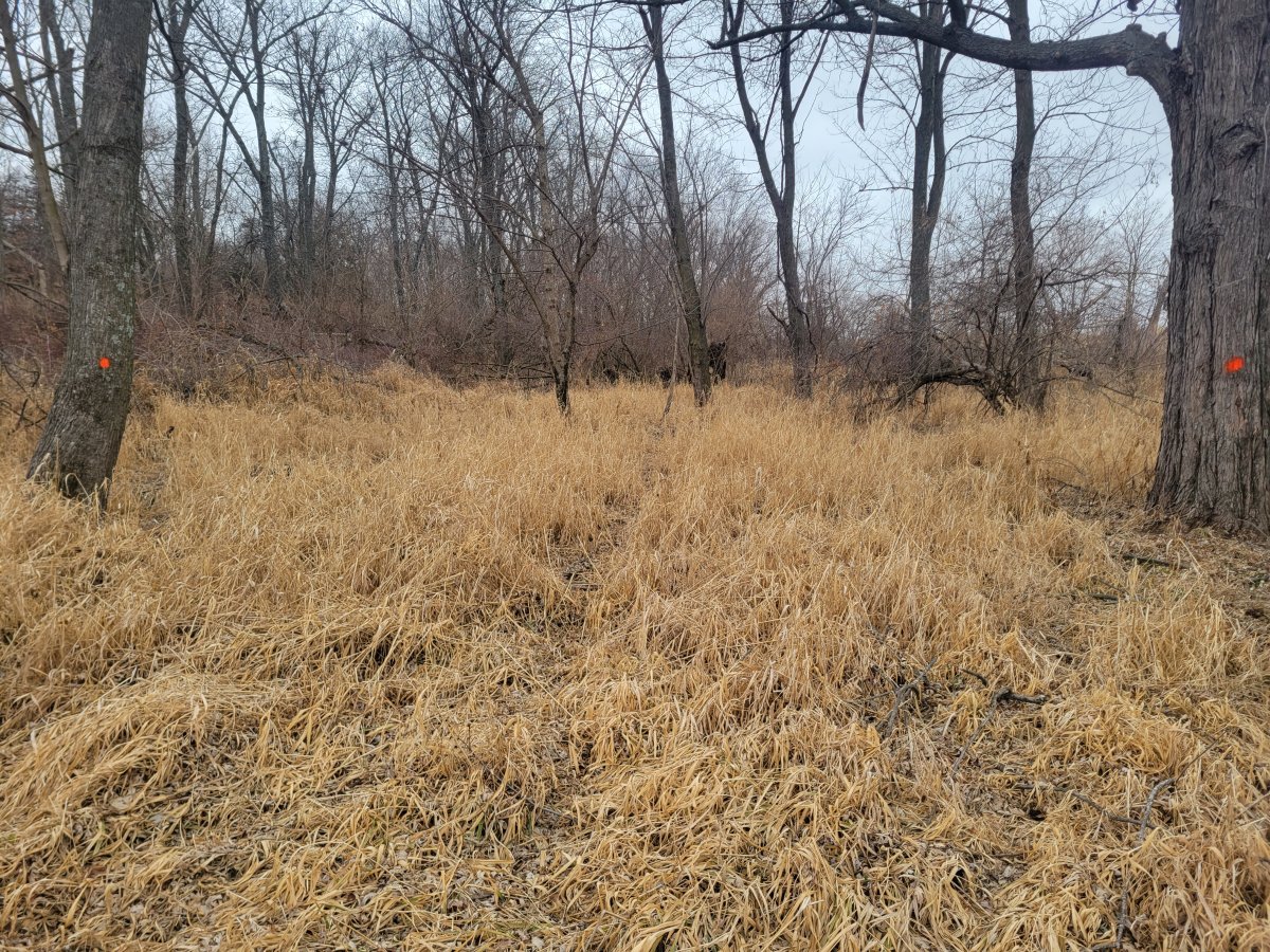 20230118_103813.jpg