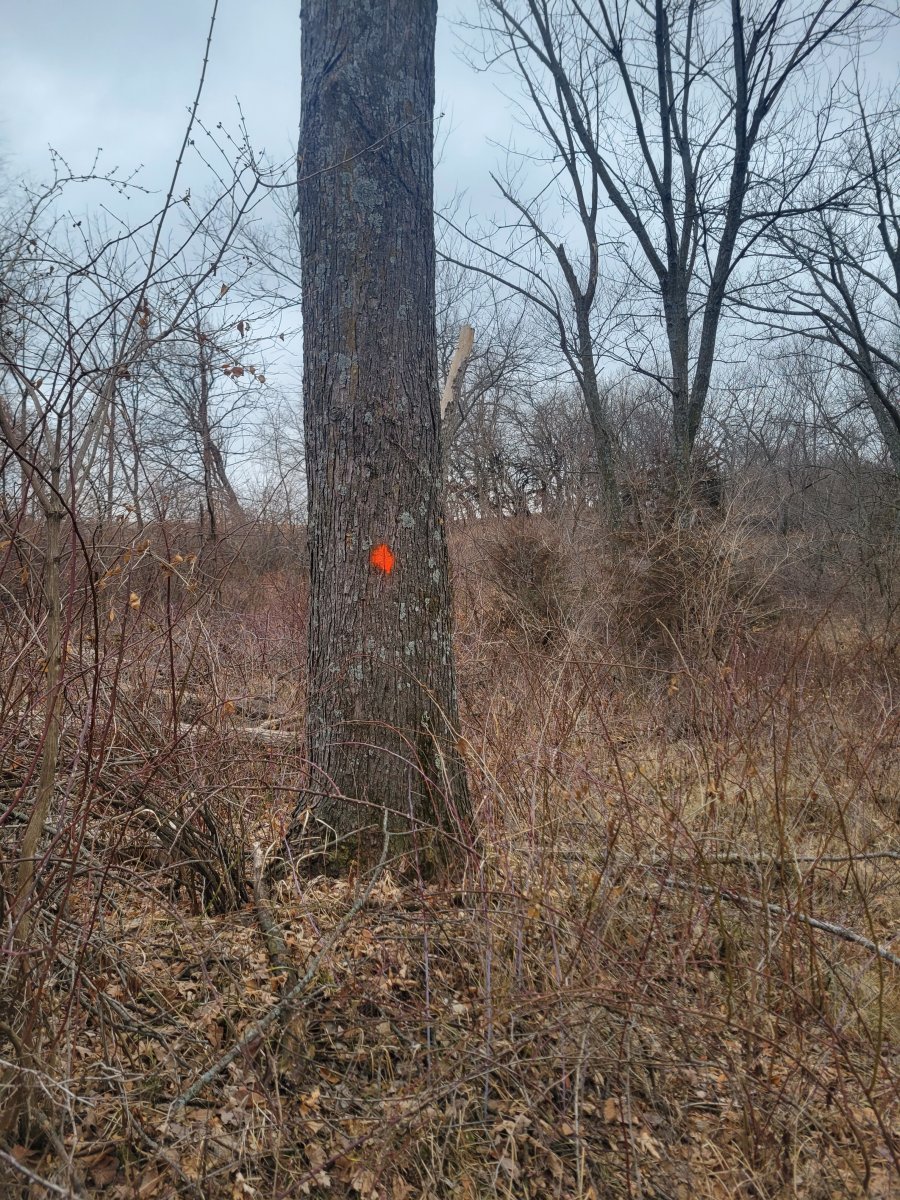 20230118_104100.jpg