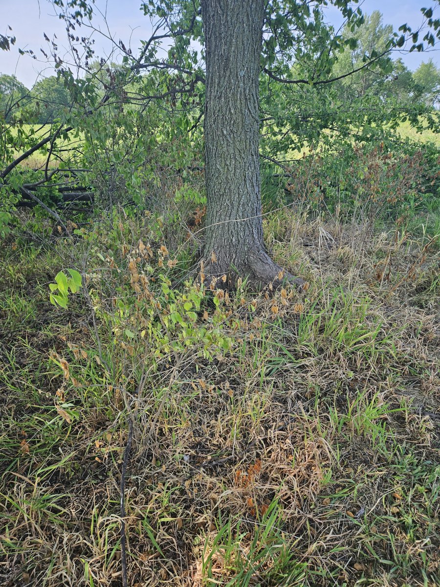 20230604_085534.jpg