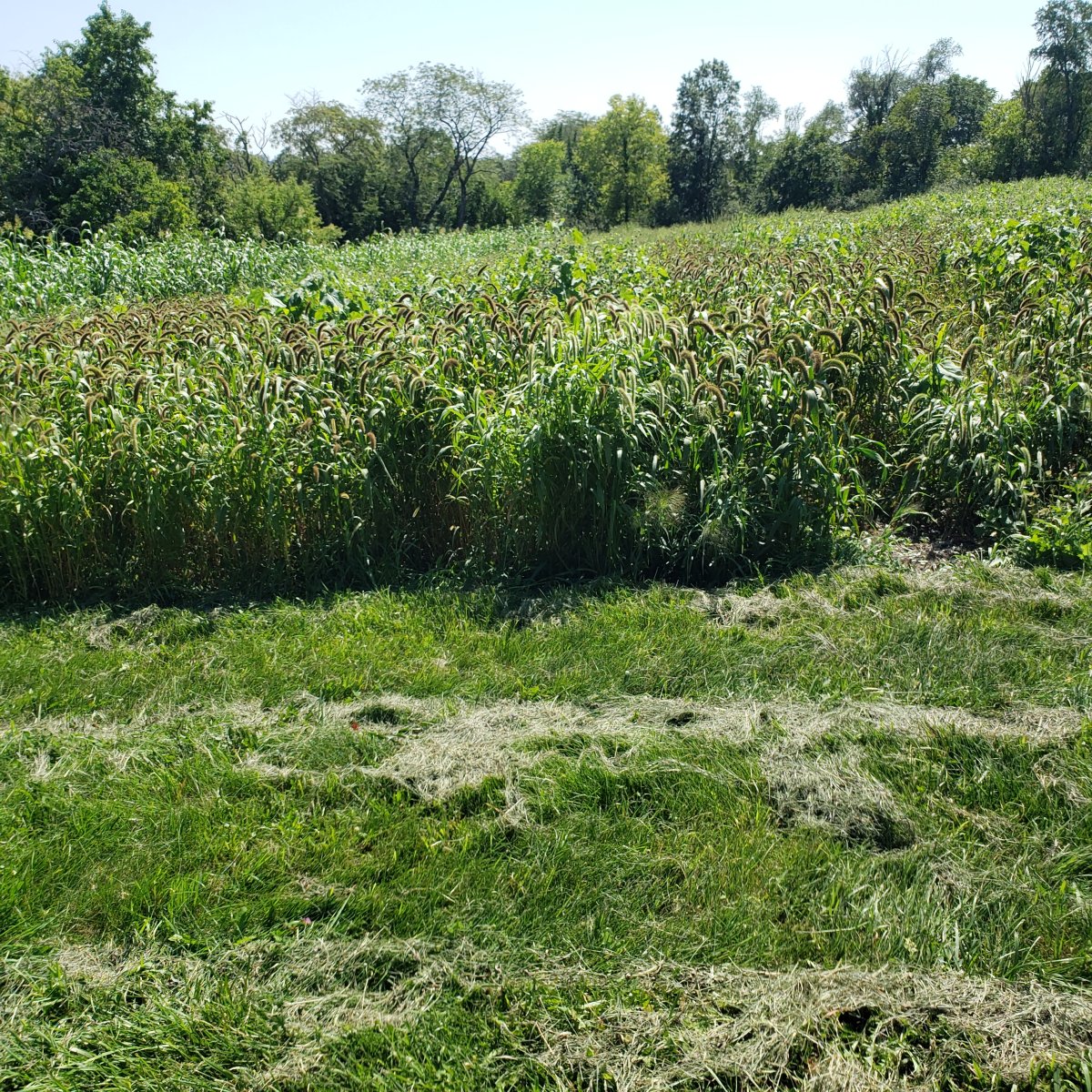 20230902_133911.jpg