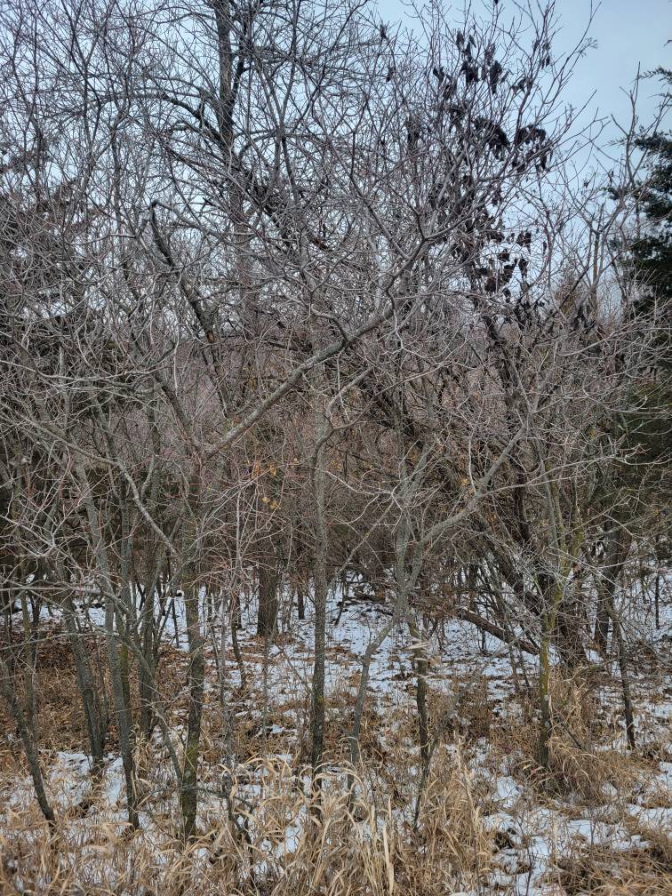 20240104_122740.jpg
