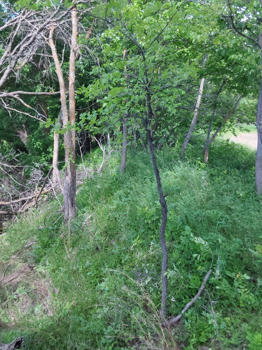 20250614_105530.jpg