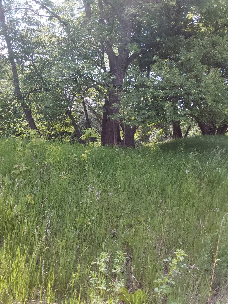 20250614_110238.jpg