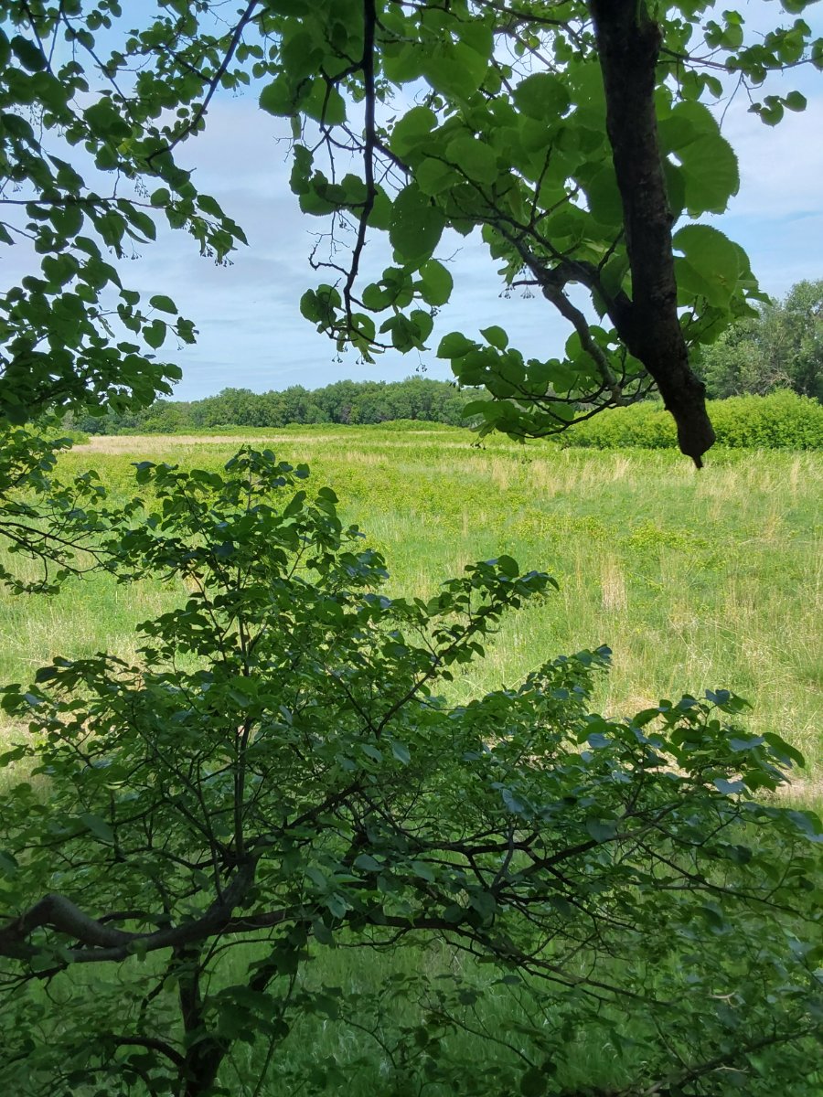 20250614_110326.jpg