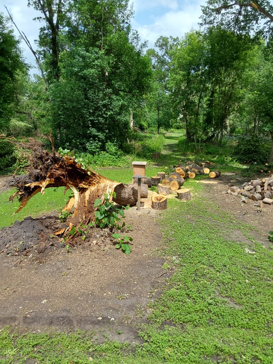 20250622_145315.jpg