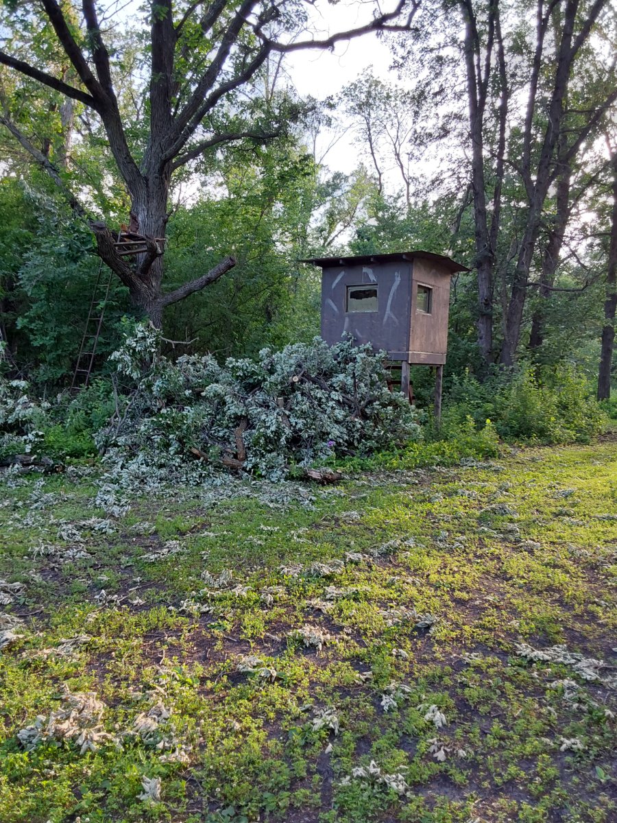 20250624_194502.jpg
