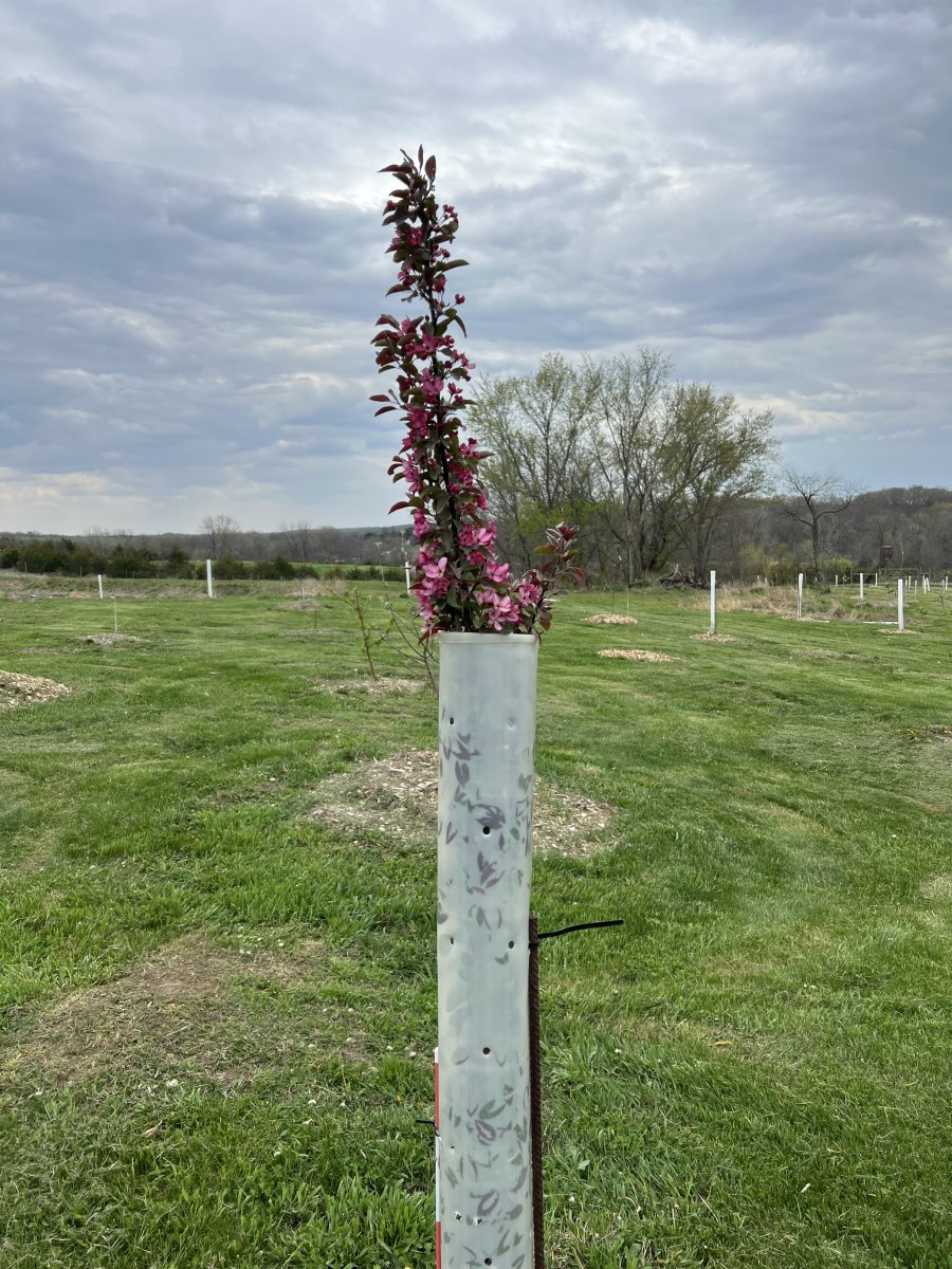 7E6C1138-380D-4D49-B63D-1B06300BB0A0.jpeg