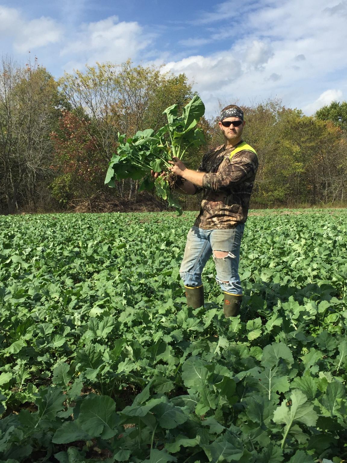 brassicas.jpg
