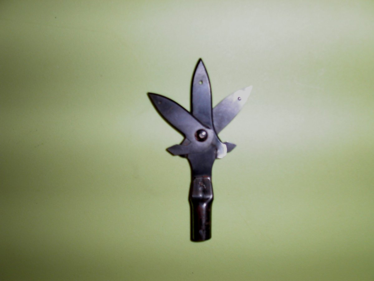 Broad heads & bass 007.jpg