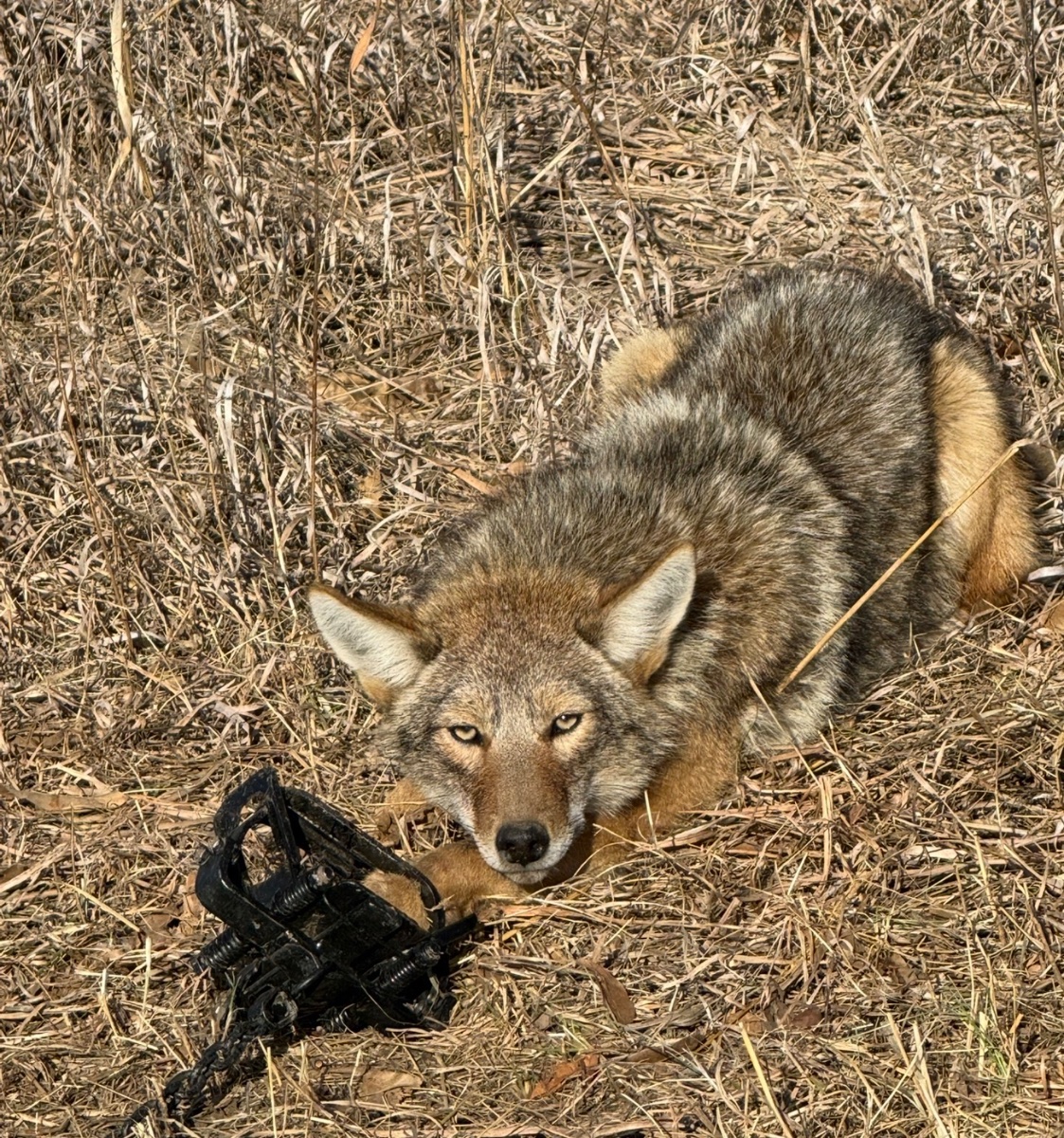 IMG_6200.jpeg