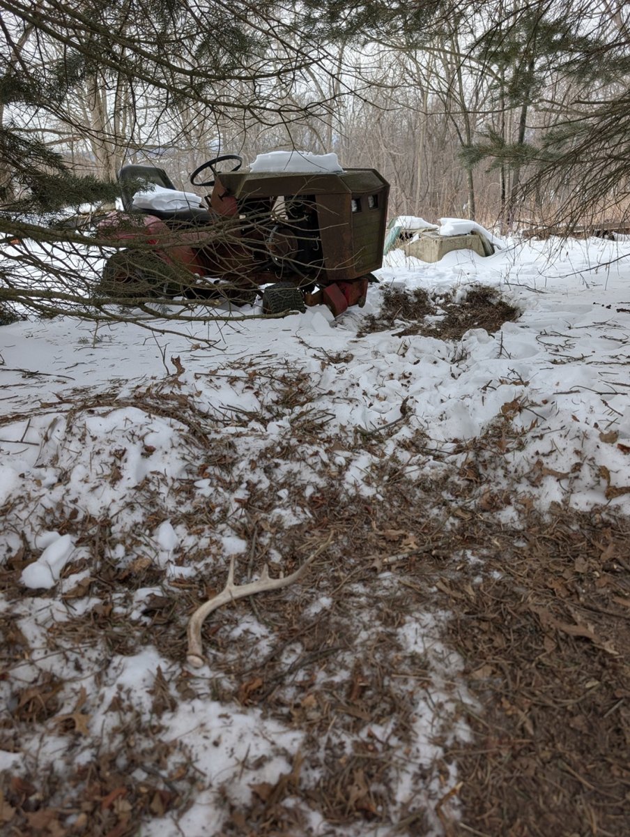PXL_20260210_171617966.jpg