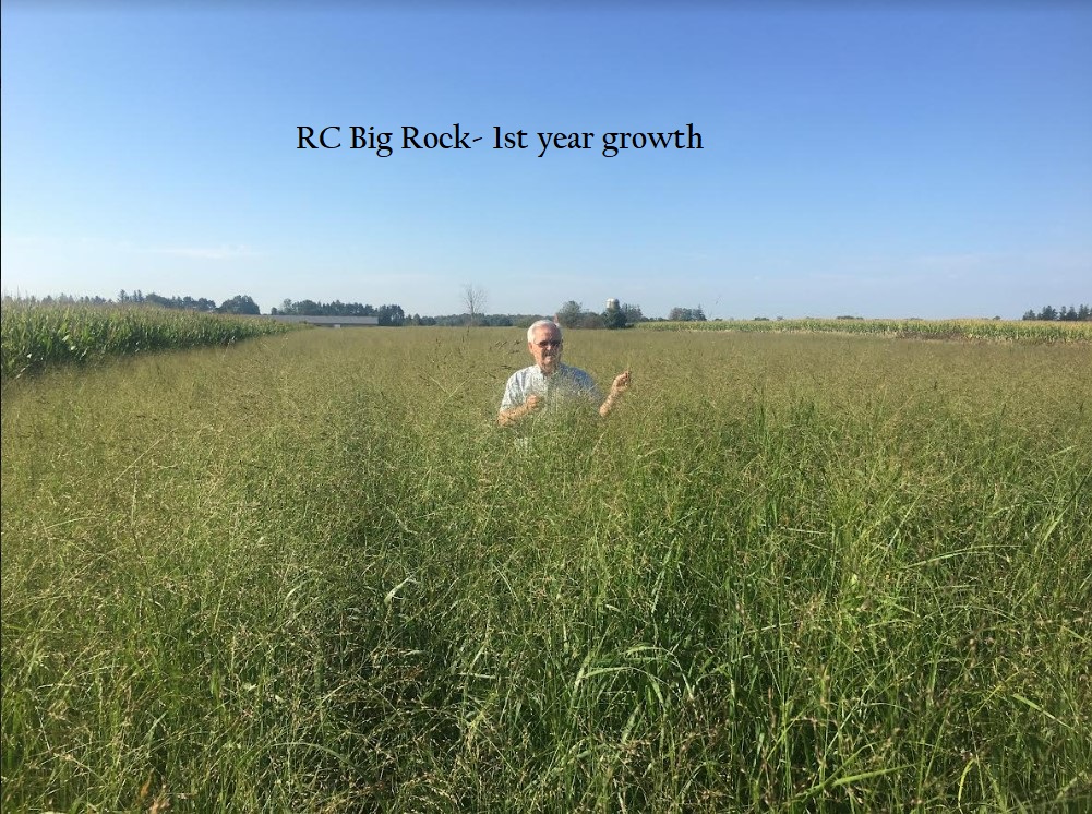 RC Big Rock- First Year.jpg