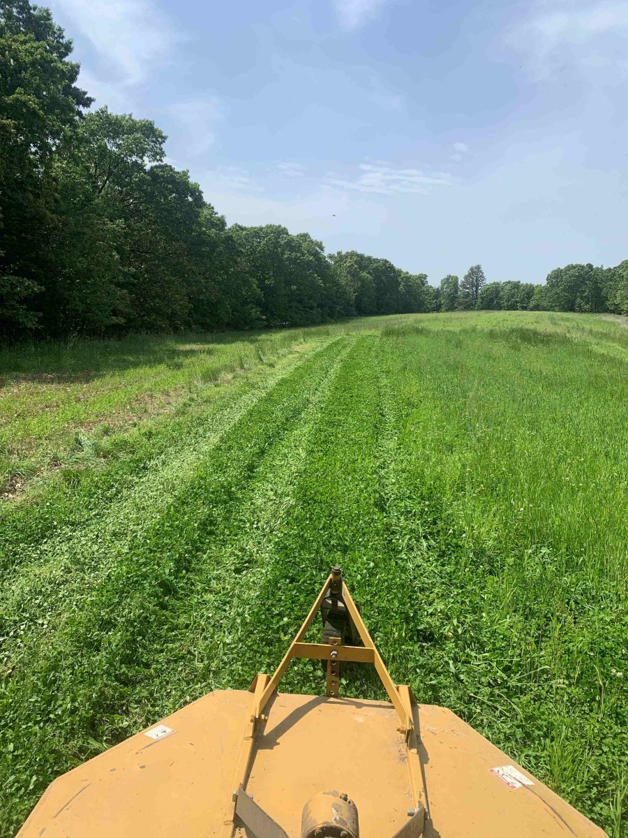 Rye - Mow.jpg