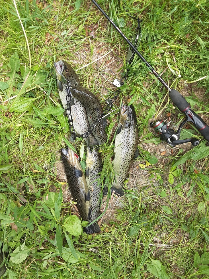 Trout.jpg