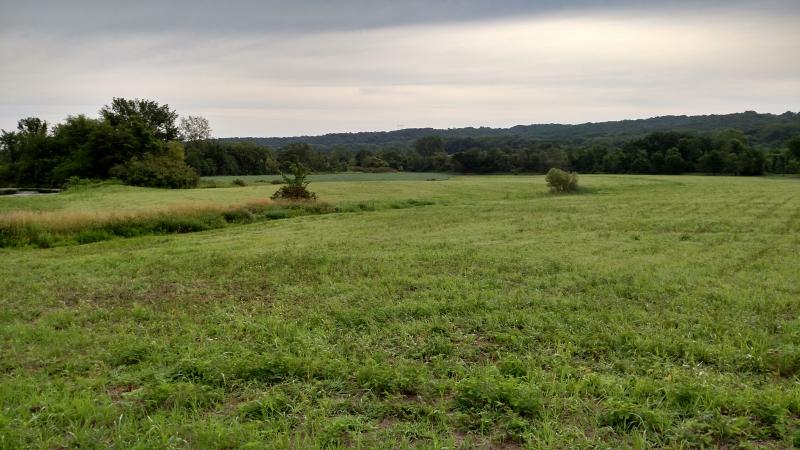 07 15 2015  Field update 2