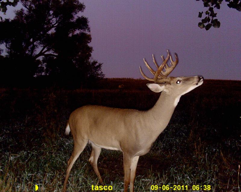 09 14 11 trail cam mike 087