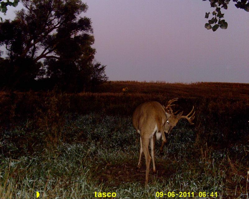 09 14 11 trail cam mike 089