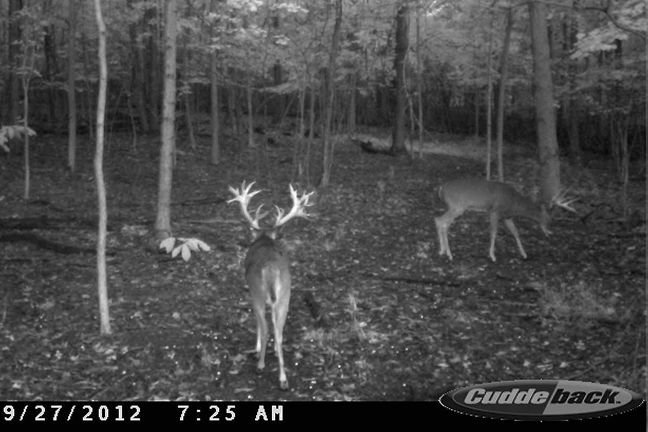 09 27 12 buck[1]
