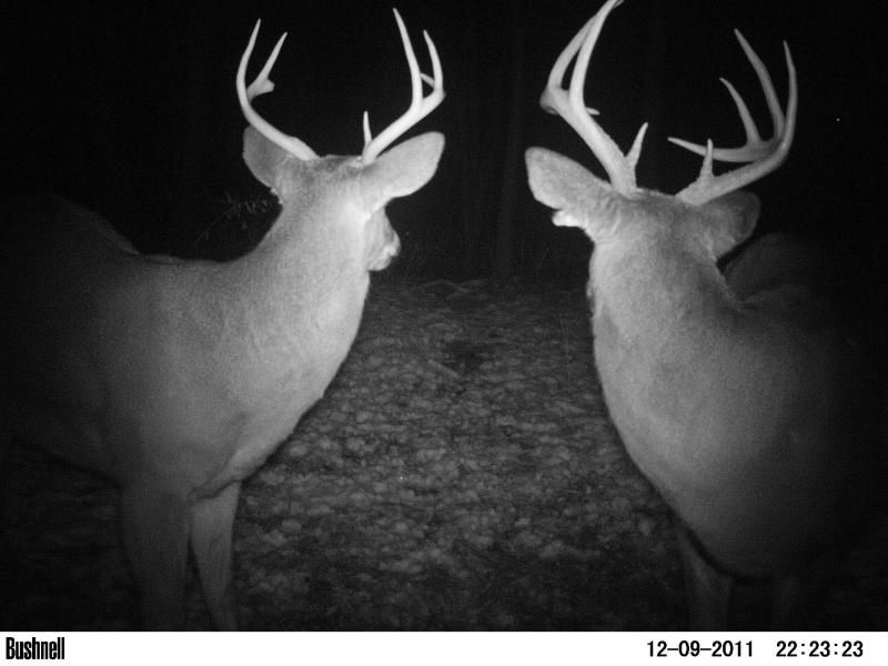 10 and 7 together waiting for the 8 to come and kick their asses.