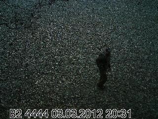 10618-download95pic958