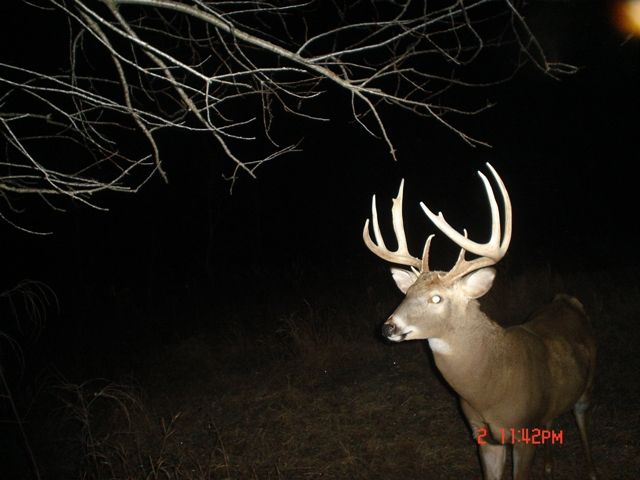 11-12-2-10 Buck