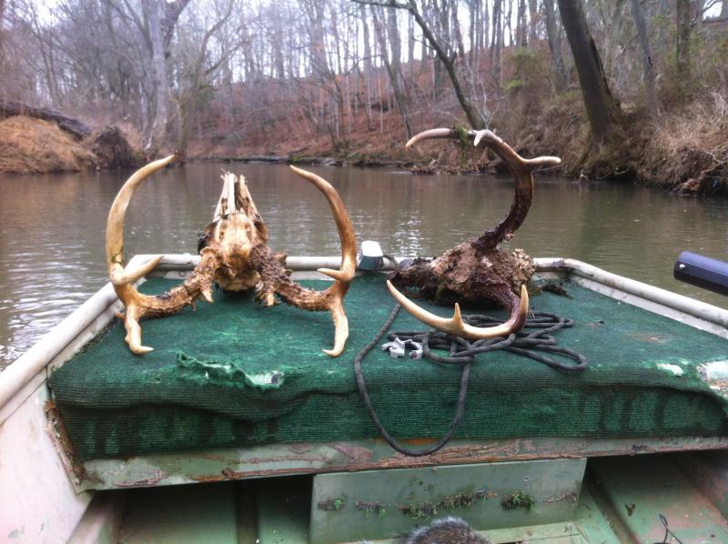11 pt and 8pt found in the creek