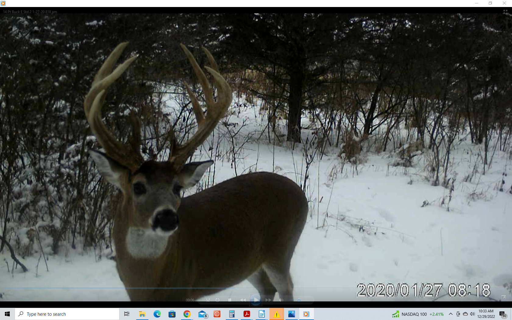 14 Pt Buck 1-20 Screenshot VideoB.png