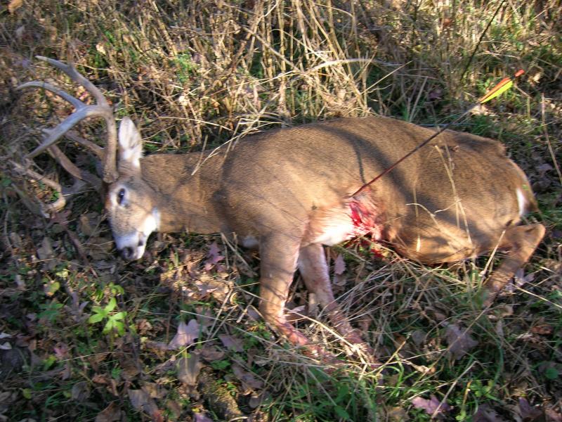 2005 Archery Buck