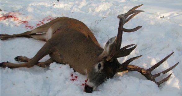 2009 ShotGun Kill!