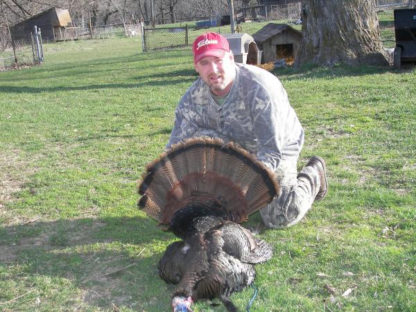 2009 Turkey 23.5# 10.5" beard 1 1/8" spurs