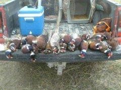 2010 day hunt!