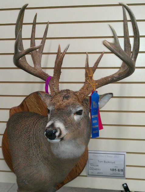 2011 Archery Buck