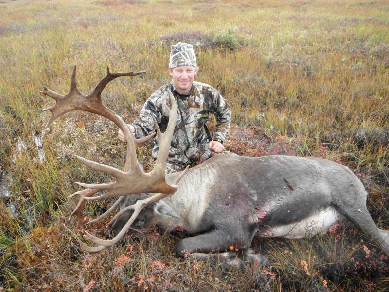 2011 caribou alaska