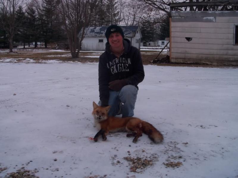 2011 fox