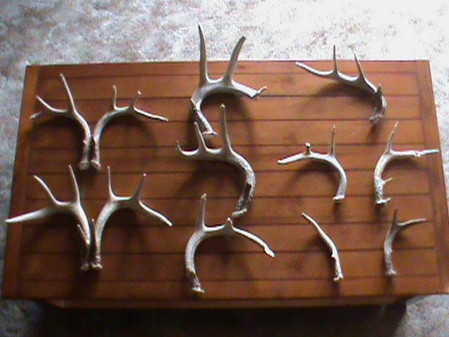2011 Shed Total