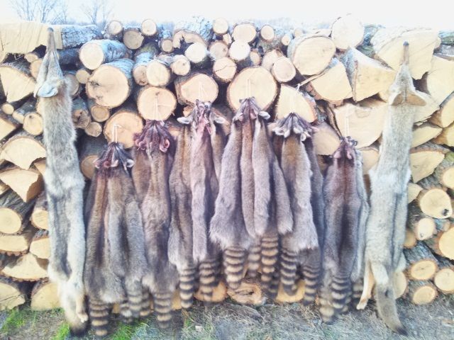 2012 12 11 07.26.37Furs
