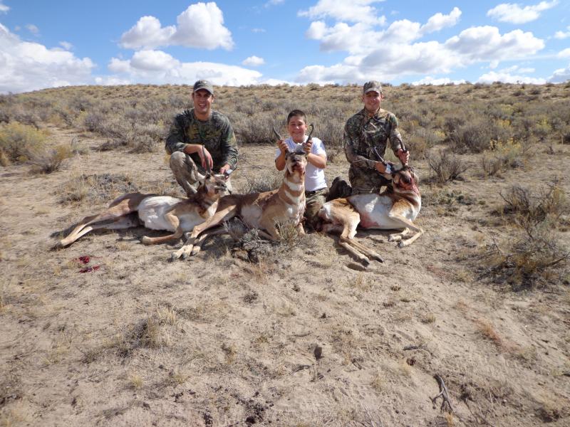 2012 Antelope