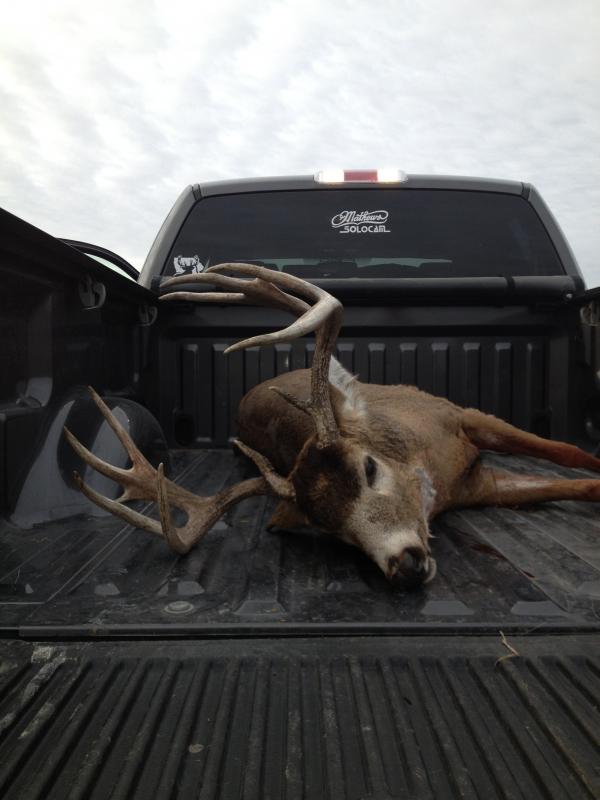 2012 Bow Buck 021