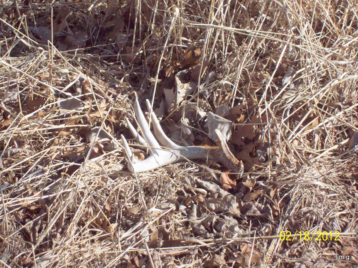 2012 Eastern Iowa Shed Find