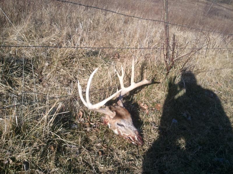 2012 sheds