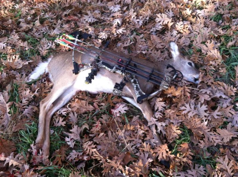 2013 2nd deer with a bow butten buck