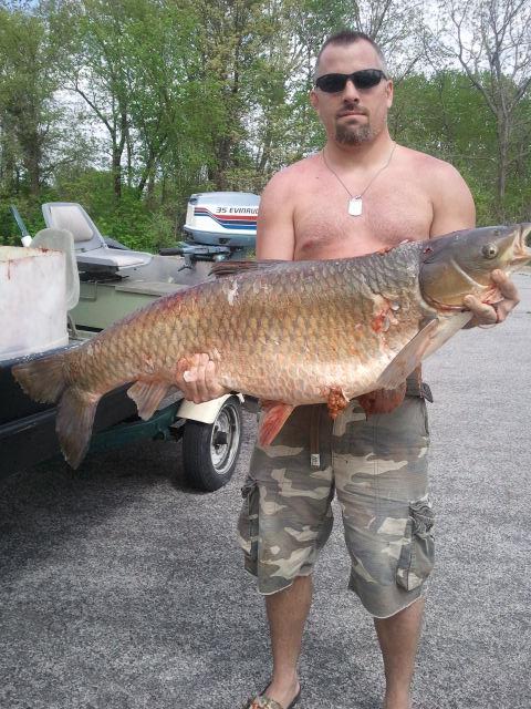 2013 60lb grassy