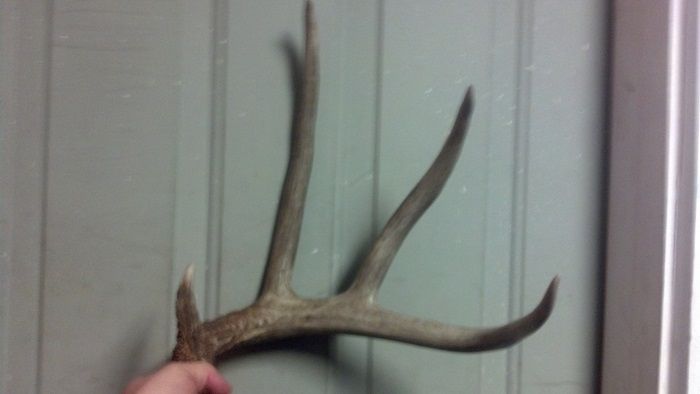 2013 Big 8 Left