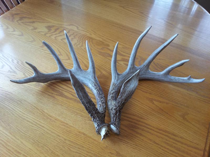 2013 big set a buddy and i found score 146 with no spread